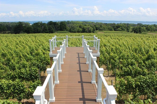 5-Hour Traverse City Wine Tour: 4 Wineries on Old Mission Peninsula - Brys Estate: East Bay views and a lawn-bar caveat