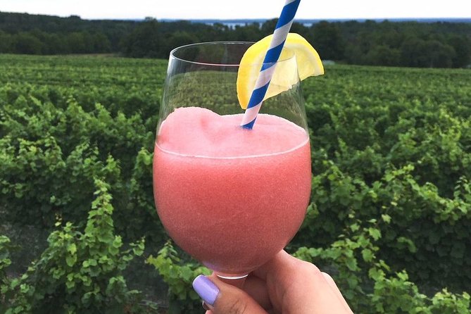 5-Hour Traverse City Wine Tour: 4 Wineries on Old Mission Peninsula - Bonobo: a smaller list with room for cider and snacks