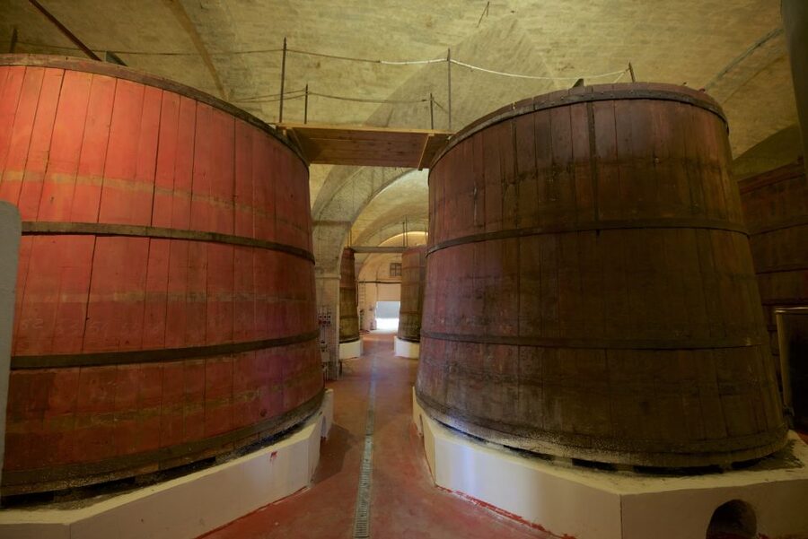 Abruzzo: Historic Cellar Wine Tour and Tasting - Key points to know before you go
