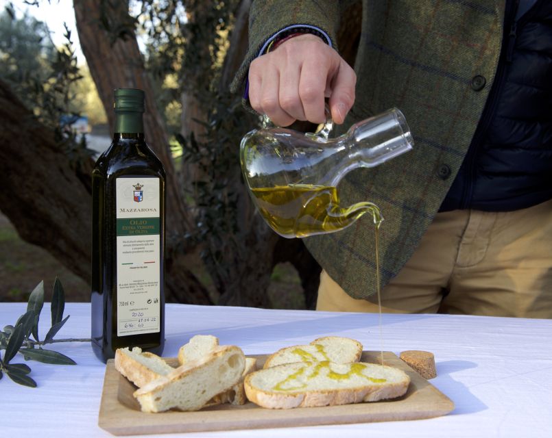 Abruzzo: Historic Cellar Wine Tour and Tasting - Should you book Cantina Mazzarosa?