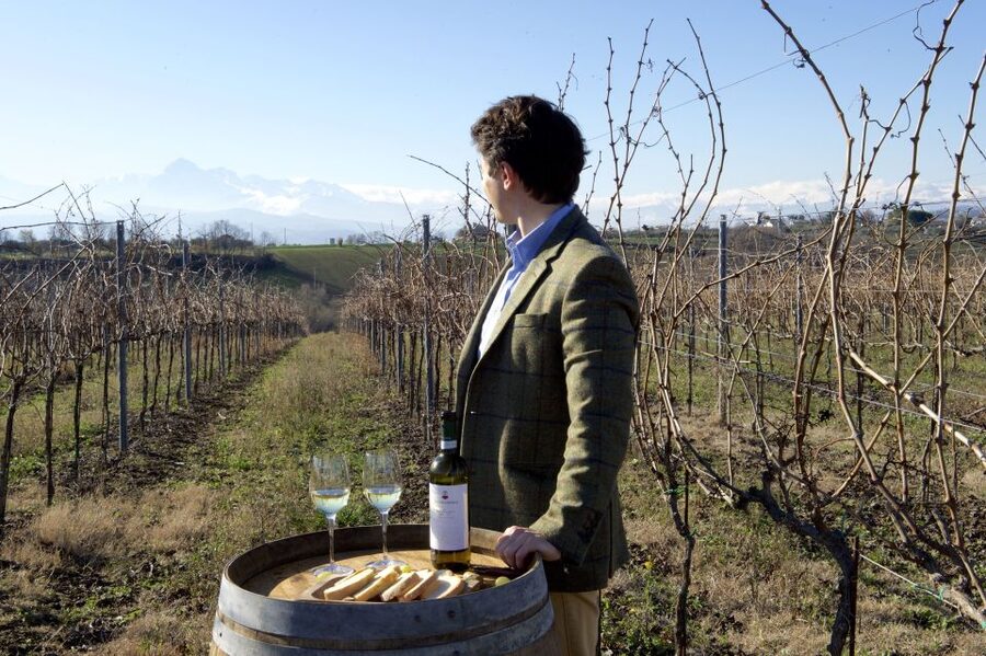 Abruzzo: Historic Cellar Wine Tour and Tasting - A brief introduction to Cantina Mazzarosa