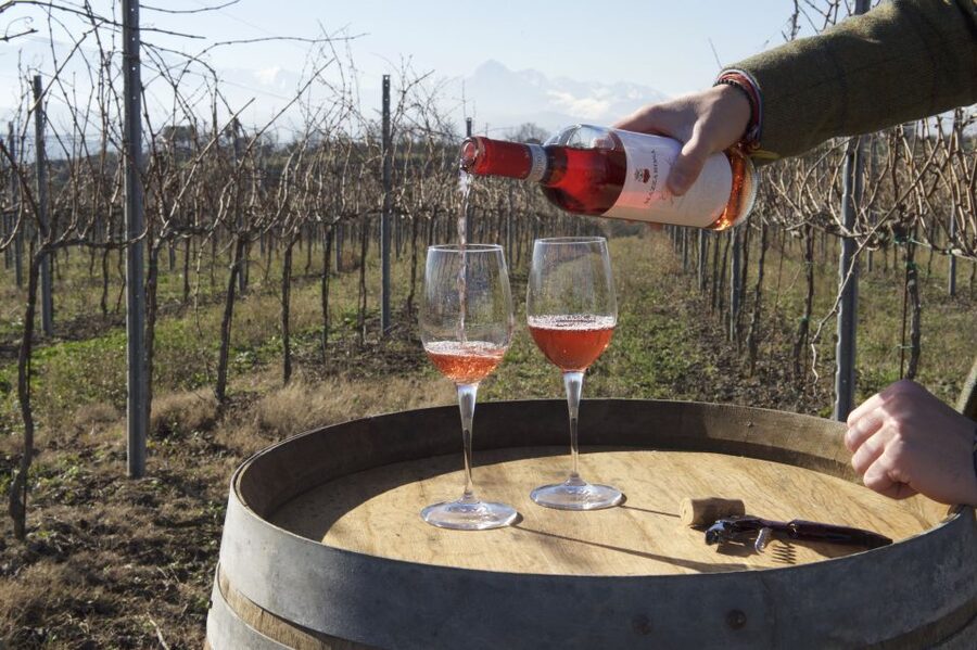 Abruzzo: Historic Cellar Wine Tour and Tasting - Finishing with Cantuccini and Vino Cotto