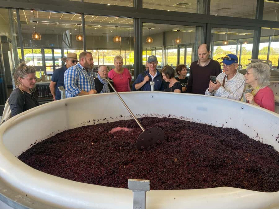 Adelaide: Barossa Premium Wine Tasting tour & Winery Lunch - Tanunda gives you 30 minutes to slow down