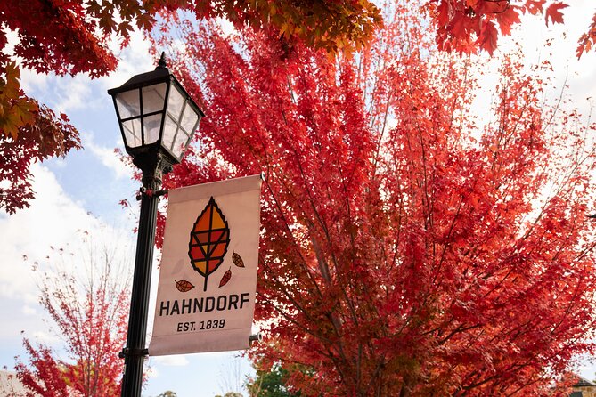 Adelaide Highlights, Hahndorf & McLaren Vale Wine Tasting and Sightseeing Tour - Chapel Hill Winery and the McLaren Vale tasting