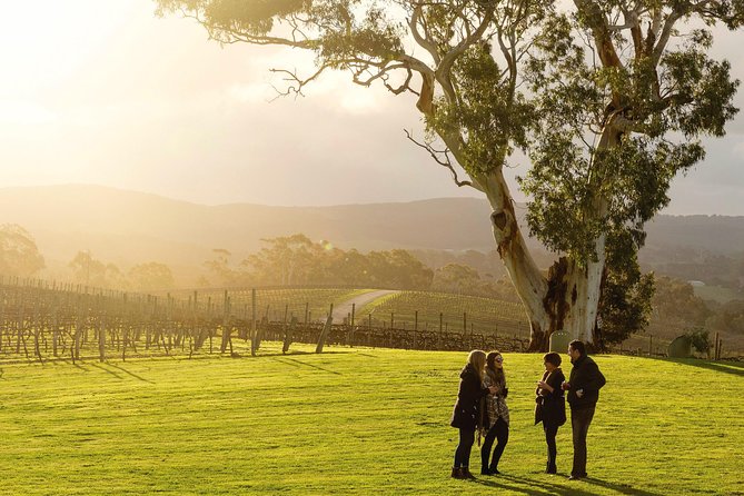 Adelaide Hills & Hahndorf Hop-On Hop-Off Wine Tour - A flexible wine day from Adelaide