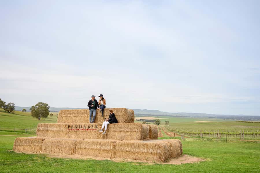 Adelaide: Small Group Tour of Barossa, Wineries with Lunch - Tanunda offers a short break from tastings
