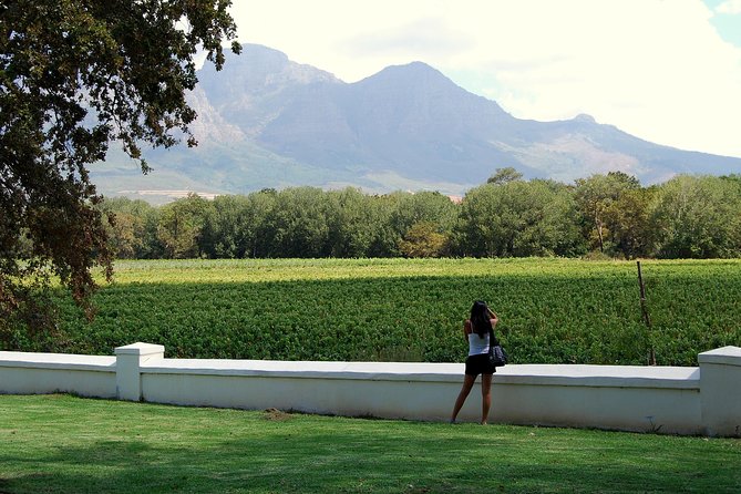 African Story Wine Tours in the Cape Winelands - Four wineries, four different angles on South African wine