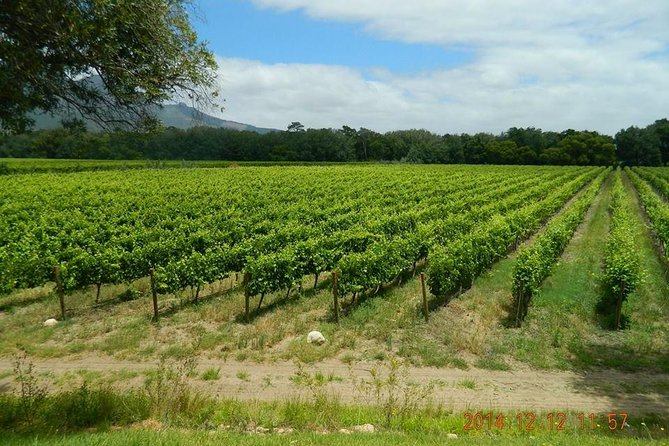 African Story Wine Tours in the Cape Winelands - Who should book this full-day wine outing