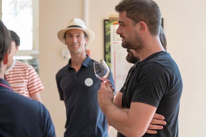 Afternoon Wine Tour to Chateauneuf du Pape from Avignon - Why this half-day trip works from Avignon