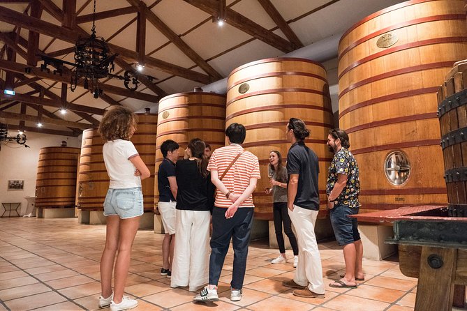 Afternoon Wine Tour to Chateauneuf du Pape from Avignon - What the guide adds to the experience