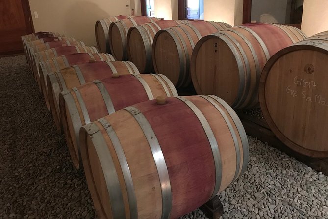 Afternoon Wine Tour to Chateauneuf du Pape from Avignon - The castle viewpoint and the village setting