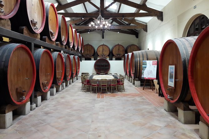 Afternoon Wine Tour to Chateauneuf du Pape from Avignon - The value of $127.03