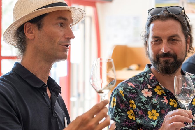 Afternoon Wine Tour to Chateauneuf du Pape from Avignon - Who should book this tour