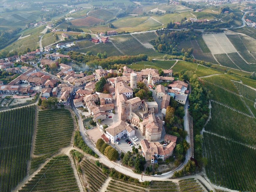 Alba: Truffle Hunting with Cheese, Truffle, & Wine Tastings - A Piedmont Truffle Hunt That Feels Local