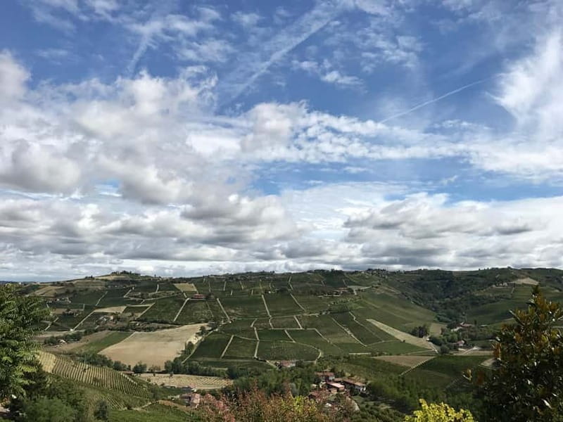 Alba: Wine Tasting and Tour with a Local Producer - Why this Alba wine visit feels personal