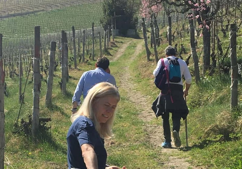Alba: Wine Tasting and Tour with a Local Producer - The hilltop view across vineyards and mountains