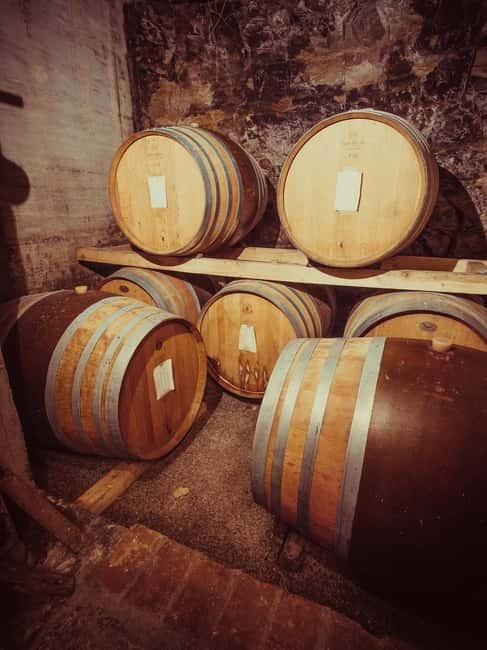 Alba: Wine Tasting and Tour with a Local Producer - Is $29 a fair price?