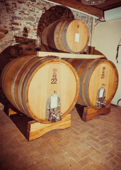Alba: Wine Tasting and Tour with a Local Producer - Walking the vines on Altavilla hill