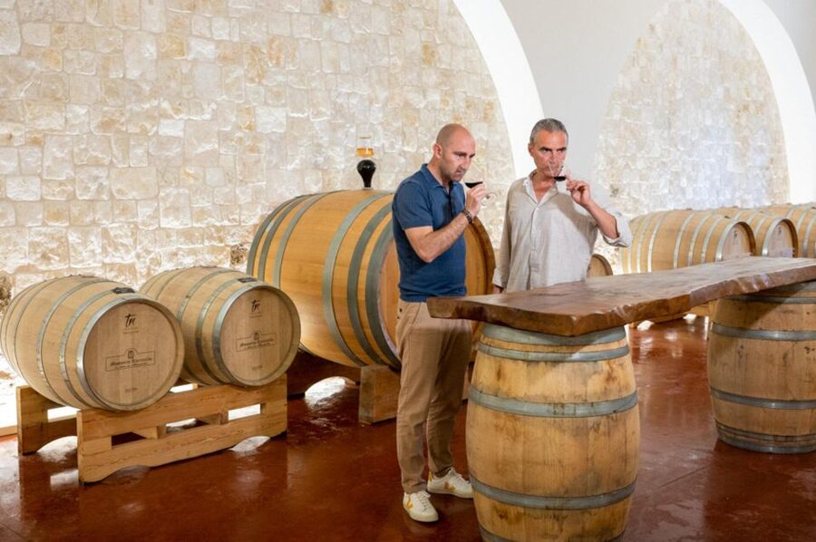 Alberobello: Winery Tour with Wine and Food Tasting - What the 2.5-hour visit actually includes