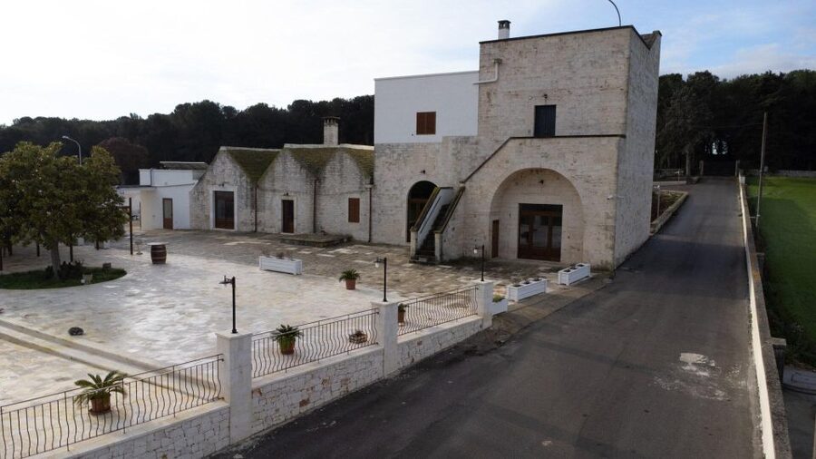 Alberobello: Winery Tour with Wine and Food Tasting - Walking through the vineyard and winery