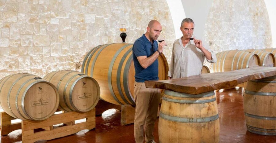 Alberobello: Winery Tour with Wine and Food Tasting - Aurora Primitivo rosé with mozzarella and Poverella zucchini