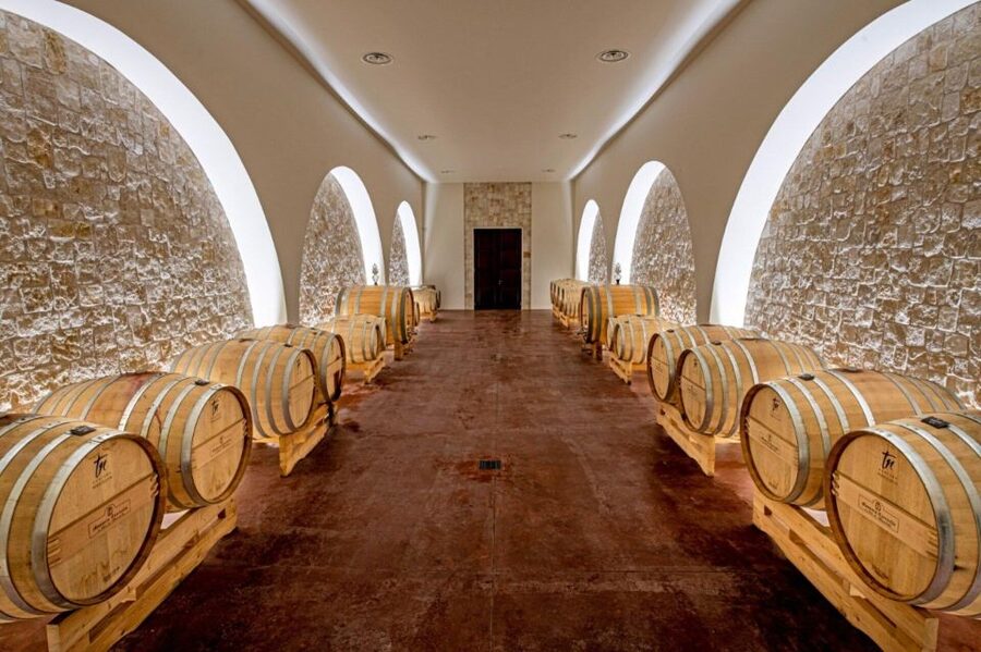Alberobello: Winery Tour with Wine and Food Tasting - Primitivo with DOP cheese, honey, and Capocollo