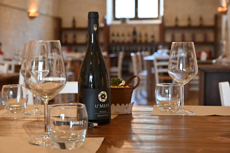 Alberobello: Winery Tour with Wine and Food Tasting - Who will enjoy this winery visit