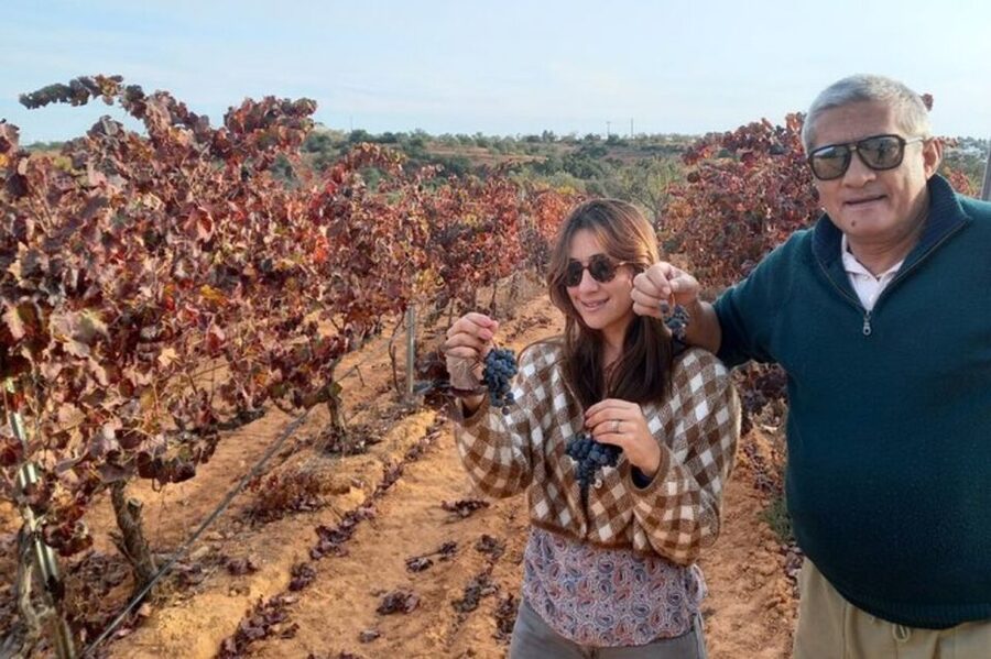Albufeira/Vilamoura: Winery Tour with Wine Tasting and Tapas - Key points to know before booking