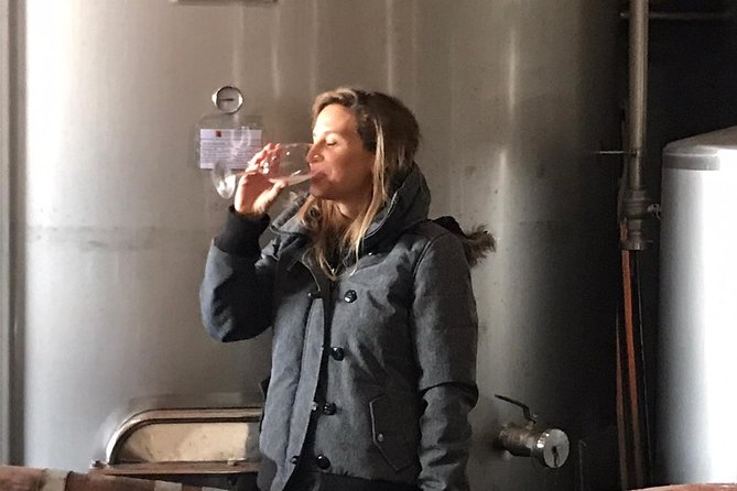 Albufeira Wine Tasting: Boutique Winery Tour & Historic Silves - The small-group promise, and its limit
