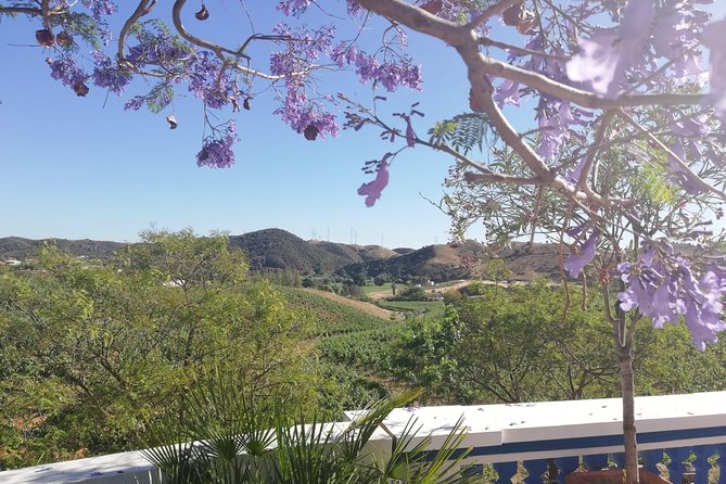 Albufeira Wine Tasting: Boutique Winery Tour & Historic Silves - Practical tips for a smoother afternoon