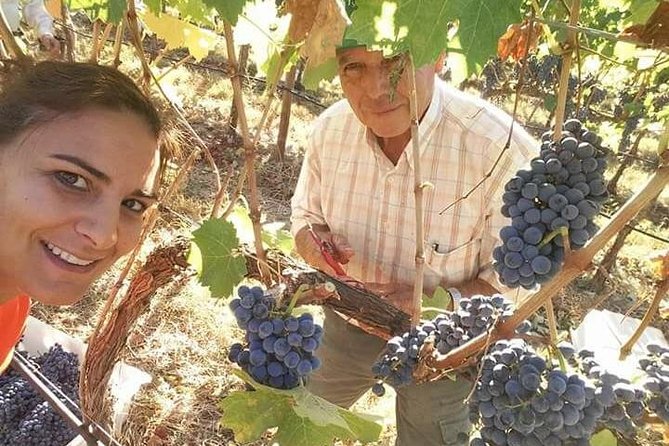 Albufeira Wine Tour: 2 Vineyards, 6 Tastings & Historic Silves - Key points at a glance