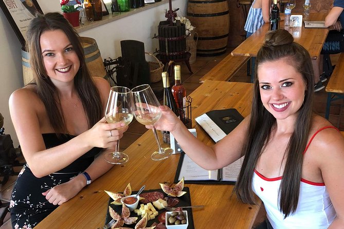 Albufeira Wine Tour: 2 Vineyards, 6 Tastings & Historic Silves - Guide quality can shape the whole day