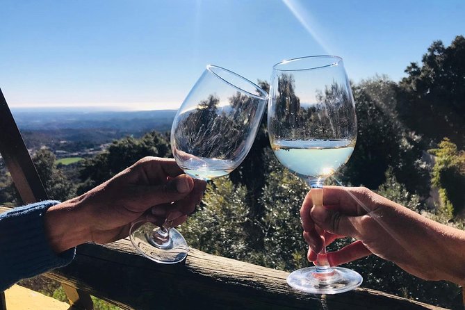 Albufeira Wine Tour: 2 Vineyards, 6 Tastings & Historic Silves - Who will enjoy this day most?