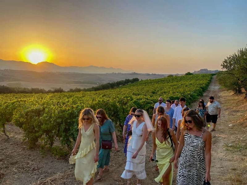 Alcamo: Natural Wine & Olive Oil Tasting - Sicily - A farm visit that puts wine in its proper setting