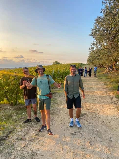 Alcamo: Natural Wine & Olive Oil Tasting - Sicily - Meeting Nicola and getting oriented near Alcamo