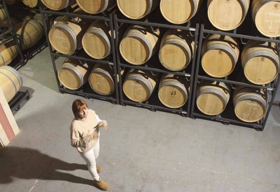 Alcúdia/Can Picafort: Guided Vineyard Visit and Wine Tasting - From barrel room to tasting terrace