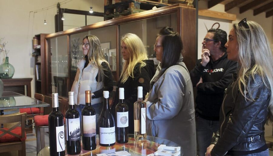 Alcúdia/Can Picafort: Guided Vineyard Visit and Wine Tasting - Five wines and local snacks