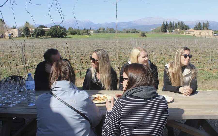 Alcúdia/Can Picafort: Guided Vineyard Visit and Wine Tasting - The wines are the main value