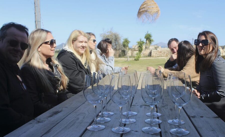 Alcúdia/Can Picafort: Guided Vineyard Visit and Wine Tasting - What the experience feels like in practice