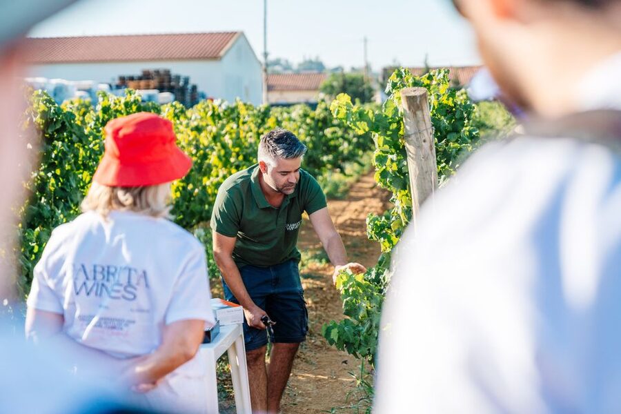 Algarve: Classic Wine Tour & Tasting in Silves - Buying bottles after the tasting