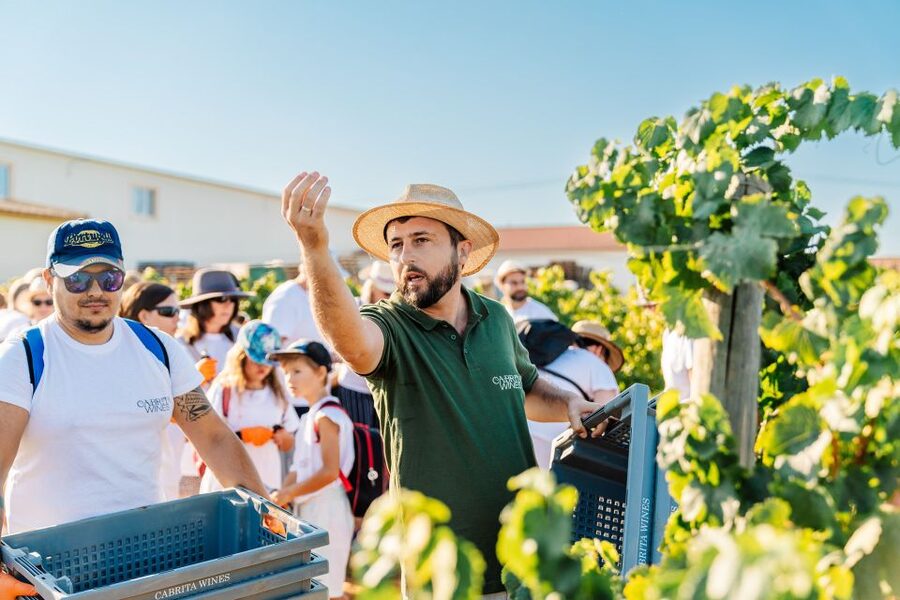 Algarve: Classic Wine Tour & Tasting in Silves - Who will enjoy this experience most?