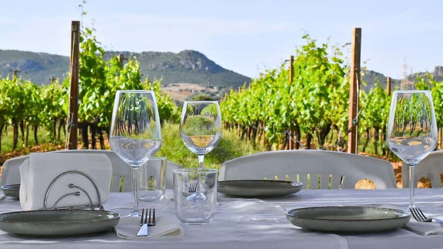 Alghero: lunch or dinner in the vineyard - Key points at a glance