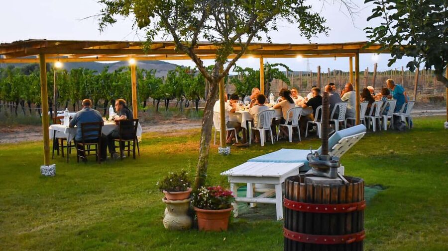 Alghero: lunch or dinner in the vineyard - Walking through the vineyard and cellar