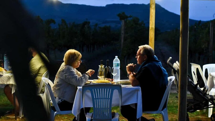 Alghero: lunch or dinner in the vineyard - The Sardinian menu, course by course