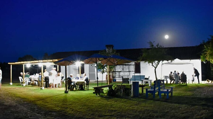 Alghero: lunch or dinner in the vineyard - Vegetarian and dietary needs