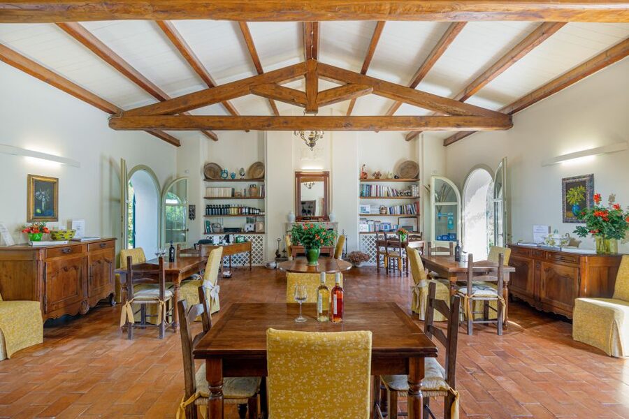 Alghero: Wine and Olive Oil Tasting at a Local Farm - The olive oil is more than an afterthought