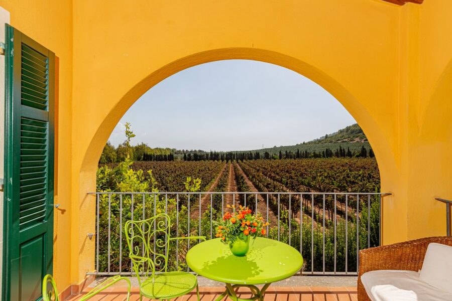 Alghero: Wine and Olive Oil Tasting at a Local Farm - Five wines with cheese, olives, and bread