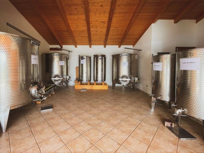 Alghero: wine tasting w/ local aperitif in the vineyard - The vineyard and cellar walk