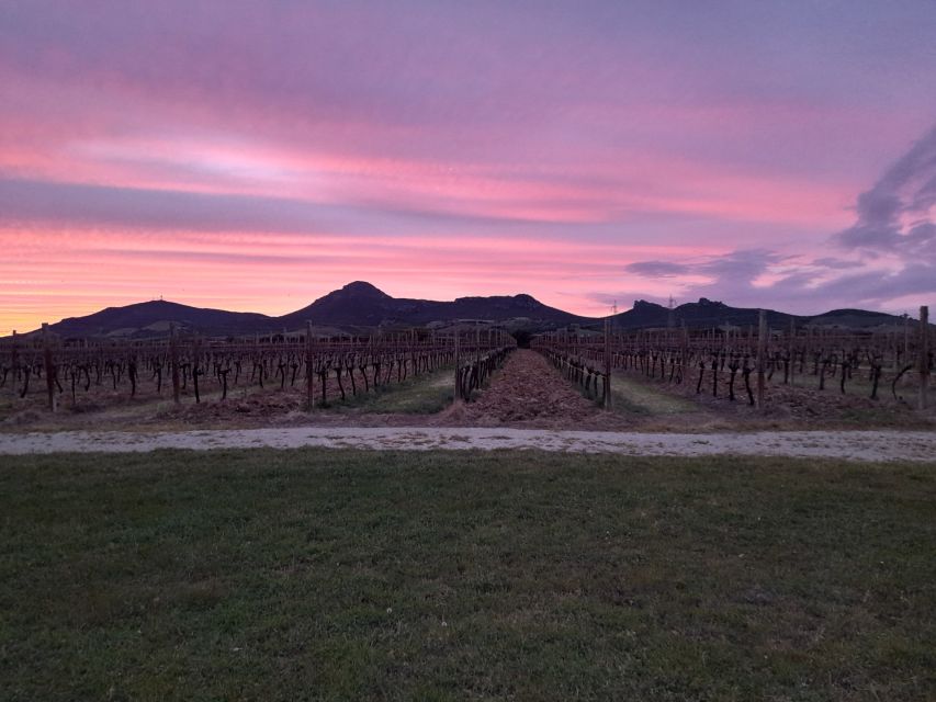 Alghero: wine tasting w/ local aperitif in the vineyard - The Sardinian aperitif is more than a snack