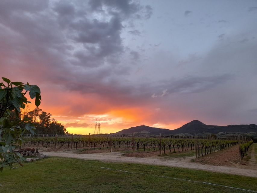 Alghero: wine tasting w/ local aperitif in the vineyard - FAQ